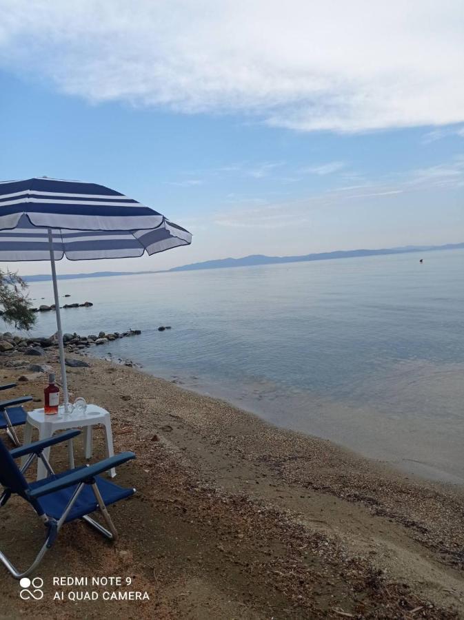 Almyriki Studio Volos Luaran gambar